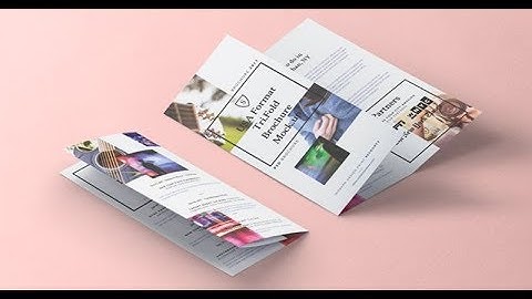 Những Kiểu Bố Cục Trong Thiết Kế Brochure