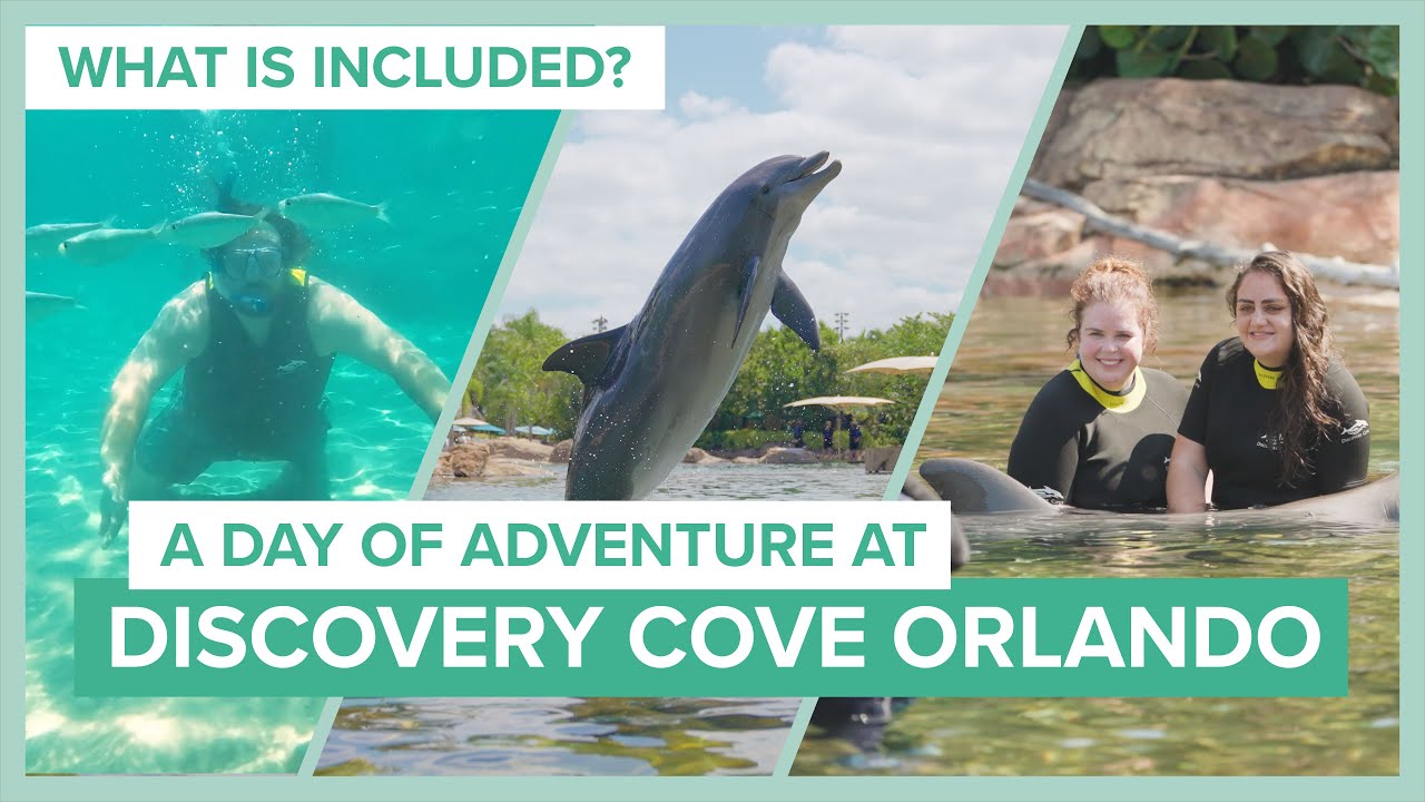 Discovery Cove Orlando Vlog — Hop Along With Us! YouTube Discovery Cove Orlando Vlog — Hop Along With Us! YouTube