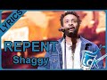 Shaggy Repent LYRICS By Request