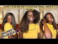 HOW I BLOW OUT MY LONG NATURAL HAIR AT HOME: Smooth results with NO damage! 2020 || Simone Nicole