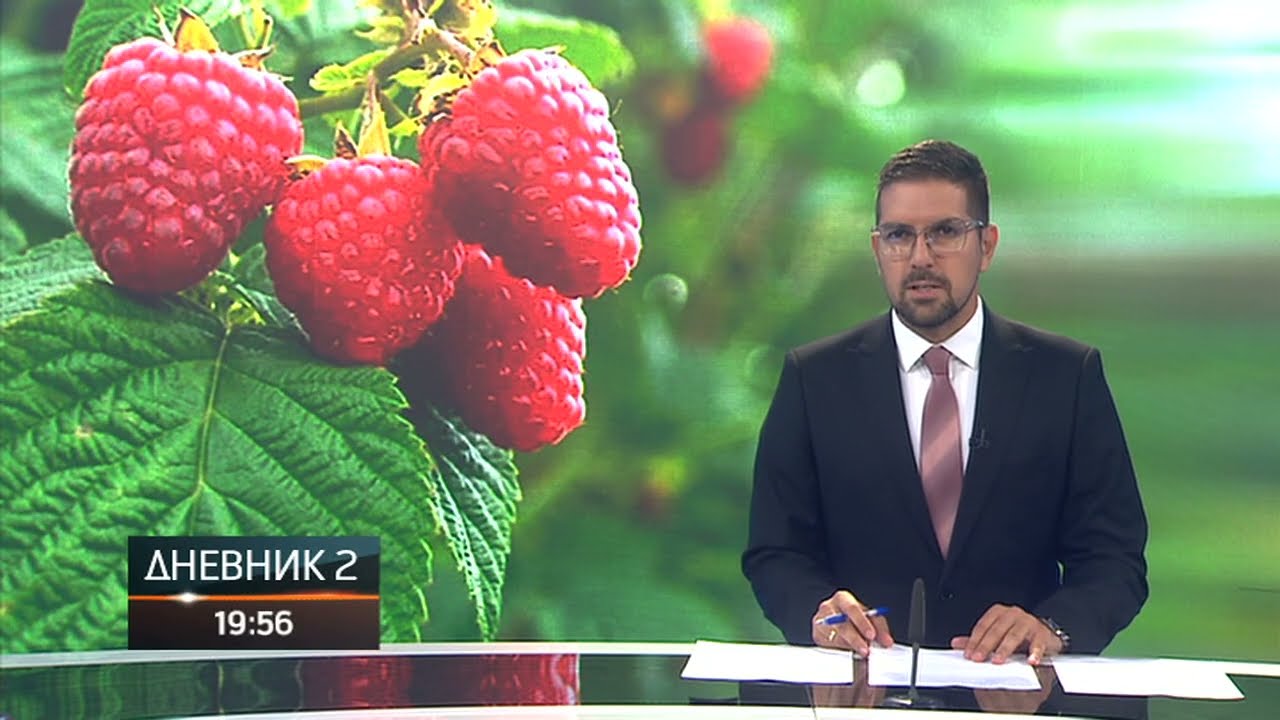 Proizvođači malina traže veće otkupne cijene