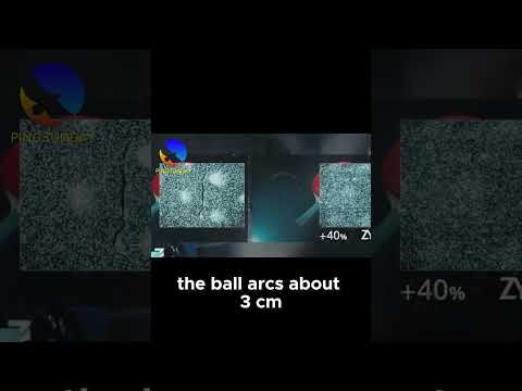 Discover Why Butterfly Zyre 03 Is The Ultimate Spin Rubber Revolutionizing Table