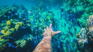 INCREDIBLE SNORKELING IN CUBA! 🐠 GoPro Hero Session (Cuba Vlog Day 8)