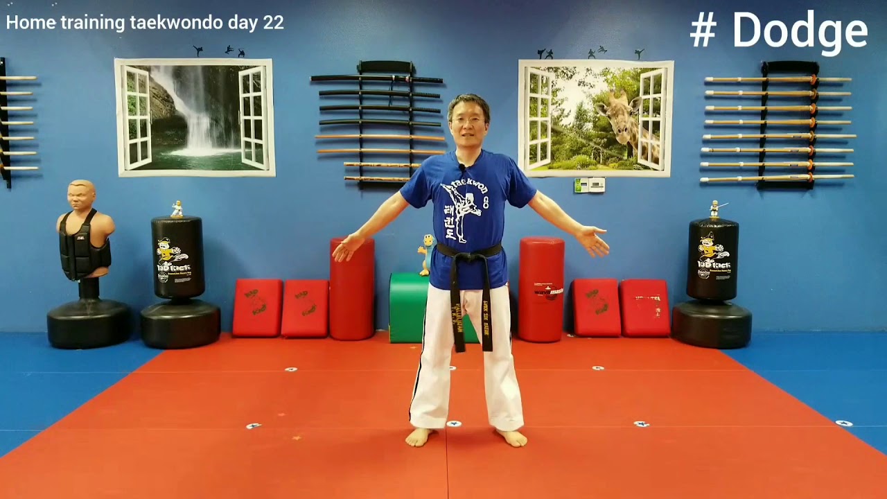 Home training taekwondo day 22 YouTube