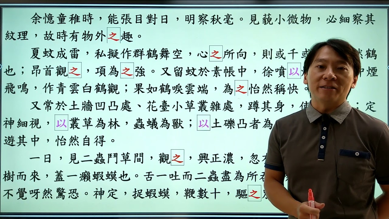 國中通用版核心古文——兒時記趣