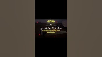 القرآن الكريم | محمد اللحيدان #قرآن #quran #تلاوة_خاشعة #القرآن_الكريم #محمد_اللحيدان #راحة_نفسية