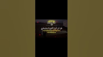 القرآن الكريم | محمد اللحيدان #قرآن #quran #تلاوة_خاشعة #القرآن_الكريم #محمد_اللحيدان #راحة_نفسية