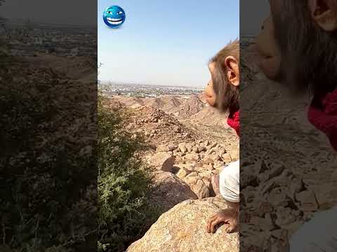 وادي الطائف وقصة القرد التعبان القرميد
