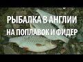 РЫБАЛКА на ПОПЛАВОЧНУЮ УДОЧКУ и ФИДЕР в АНГЛИИ. ЛОВЛЯ ОКУНЯ, ПЛОТВЫ, УСАЧА, ФОРЕЛИ, ГОЛАВЛЯ