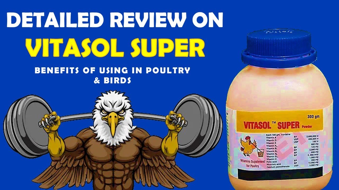 Detailed Review On Vitasol Super Multivitamin Supplement Benefits Of