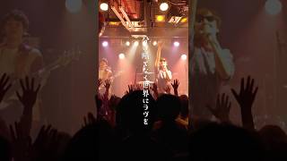 め組「WE ARE WAKEARI！」#め組のショート #バンド #邦ロック #ポップソング #shorts