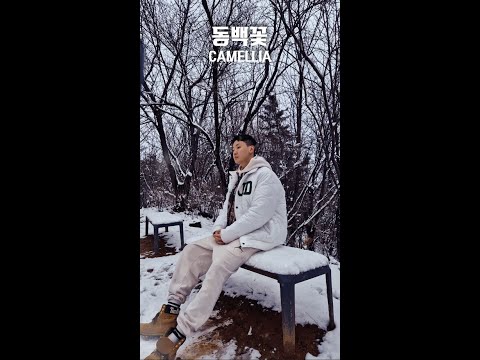 Gson '동백꽃(Camellia)' Visualizer