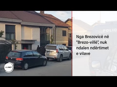 Video: Kakšna je razlika med brezo in trepetliko?