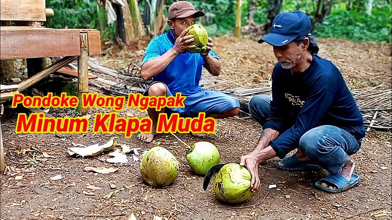 Makan Klapa Muda di Pondok@BapakAing-l4h 