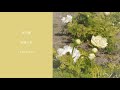 光の春　feat.巡音ルカ