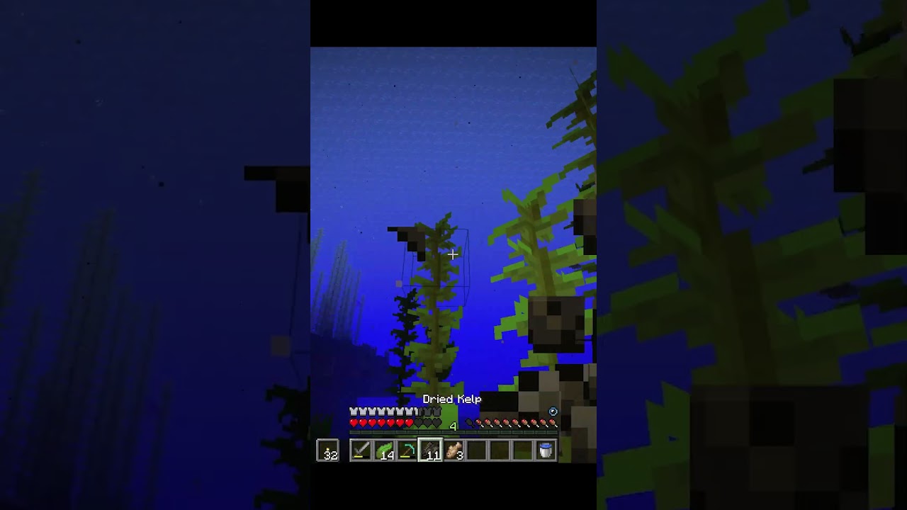 ความหลอนของโลกใต้น้ำในโลกเหลี่ยม #ไวท์บี #deklaaonchannel #minecraft