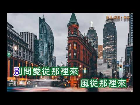 萬沙浪 ~ 風從那裏來