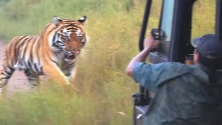 30 Times African Safaris Went Horribly Wrong