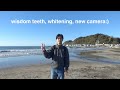 【vlog】親知らず抜いてホワイトニングしてカメラ買った