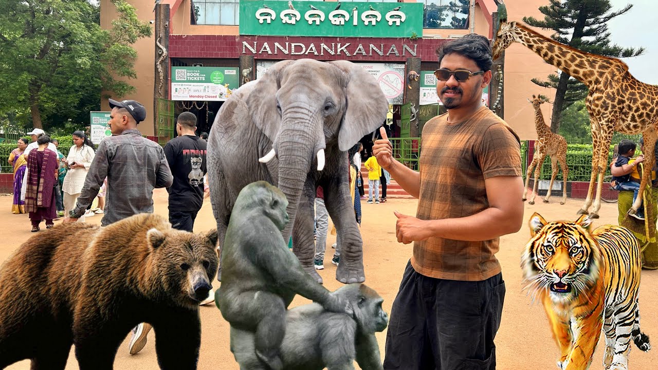 Nadankanan Pura Change Hoi Jaichi 😍