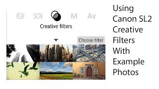 Canon EOS Rebel SL2 / 200D - Using the Creative Filters with example photos screenshot 5