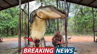 Louisiana Hunter Caught A 2300lb Monster Crocodile - But What He Found Inside Scared The Whole Town!