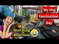 My Dog Vaccination Day Vlog | Shocking Reaction 😱 | German Shepherd Puppy Vaccine 🐕