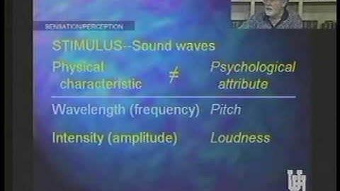 PSYC 1300 LECTURE 15