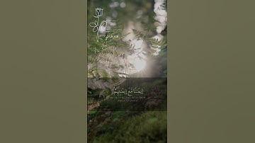 هو الذي انزل السكينة في قلوب المؤمنين || تلاوة خاشعة جدا❤️
