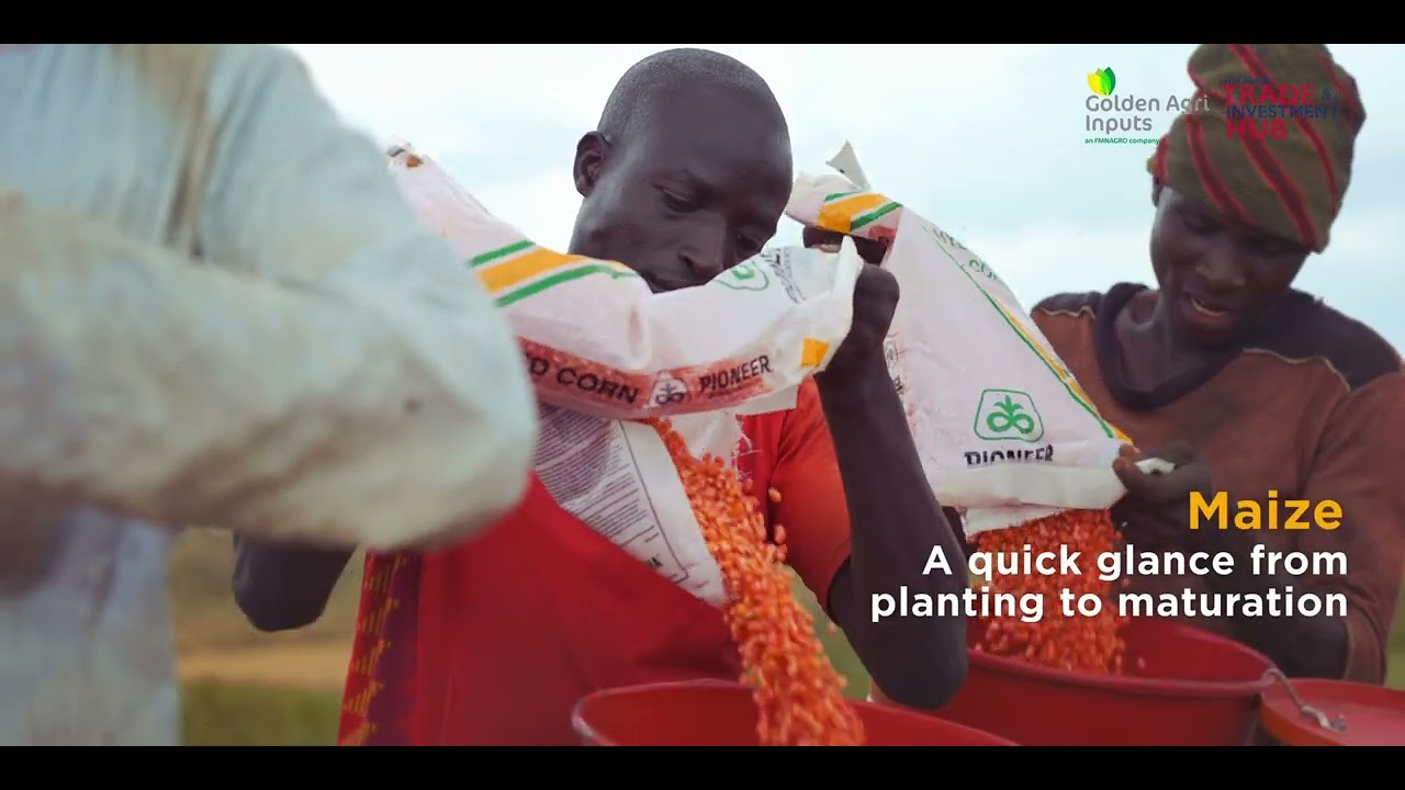 WATIH YALWA Documentary