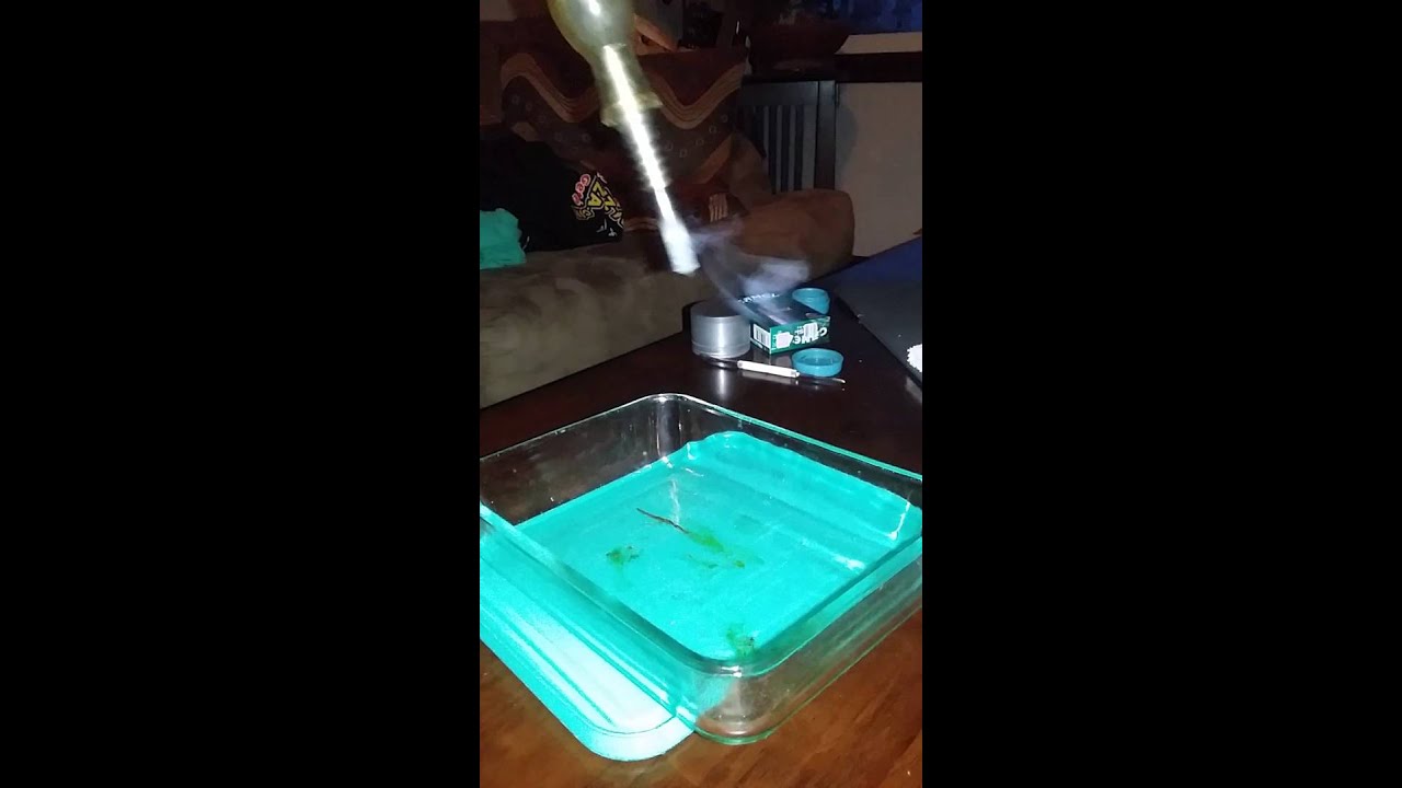 1st time hitting a nectar collector