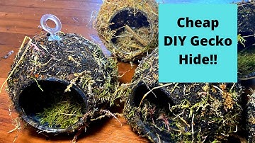 Cheap DIY Gecko Hide