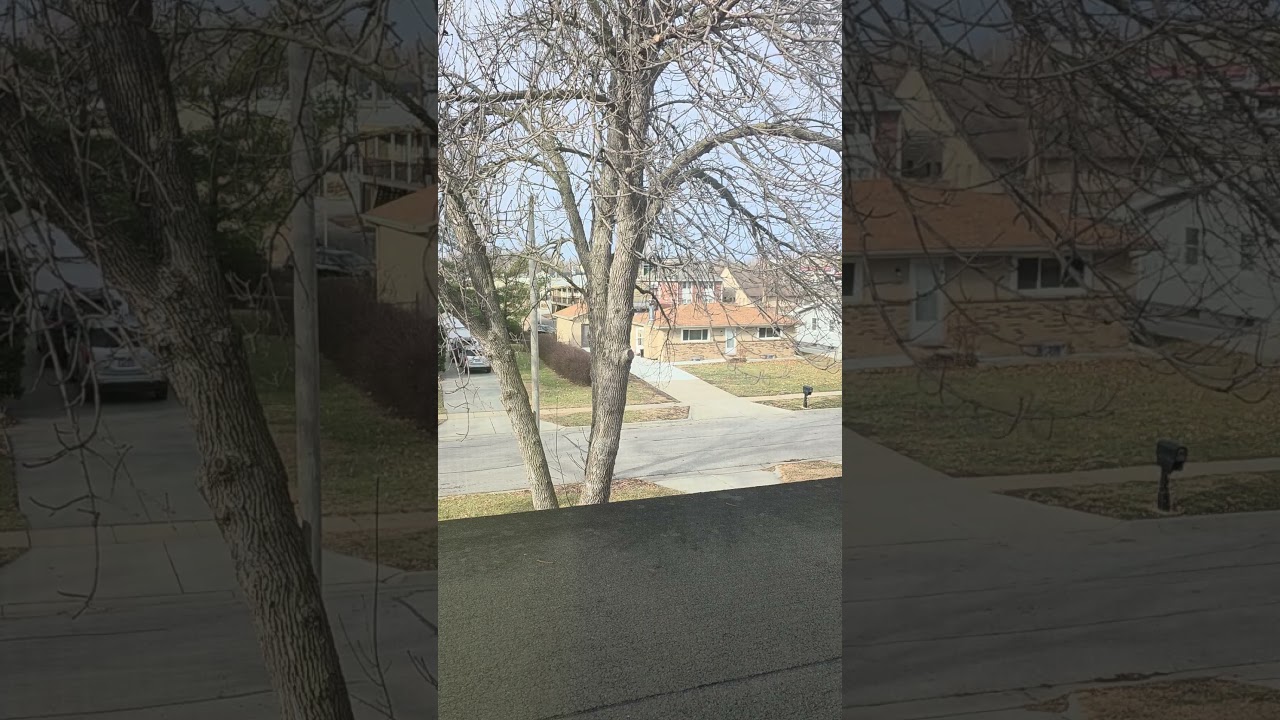 Bible Reading Numbers Chapter 12 