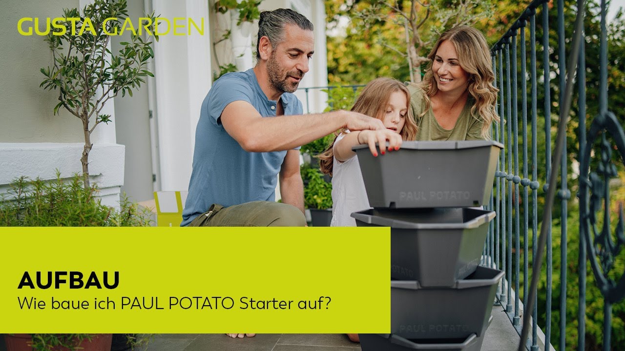 Paul Potato Starter Kartoffelturm