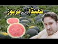 Water melon cool  cool master city canal   asif younas siddiqi viral