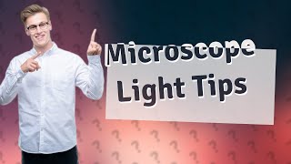 How do you adjust the light on a compound microscope?