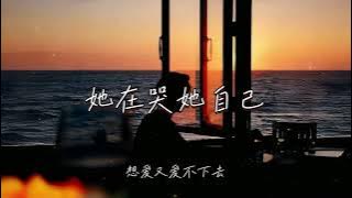 王一一 | 她在哭她自己 『想愛又愛不下去 想斷卻斷不徹底 曾自以為的很懂事  卻沒人在意』 【高音質 動態歌詞/PinyinLyrics】