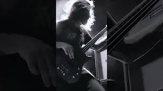 Disfigured Visions Era by @InsectInsideBrutality | #Shorts #BrutalDeathMetal #SlammingDeathMetal @Gorehouseproductions-Official
