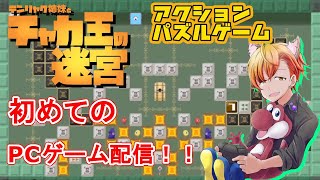 【チャカ王の迷宮】#1 初めてのPCゲーム配信！【Steam】【2Dアクションパズルゲーム】 screenshot 5