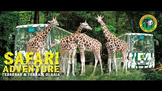 Taman Safari Indonesia 'Belajar Mengenal Nama-nama Hewan'