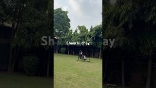 Sham Ki Chay In My Mother In Laws Home