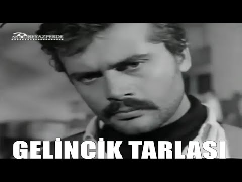 Gelincik Tarlası (1968) Tamer Yiğit, Sema Özcan