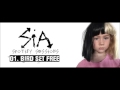 Sia - SPOTIFY SESSION 01.Bird set free (AUDIO)