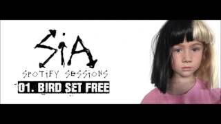 Sia - SPOTIFY SESSION 01.Bird set free (AUDIO)