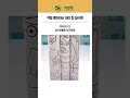 색칠공부 꺼낼 때마다 난장판 되는 집이라면