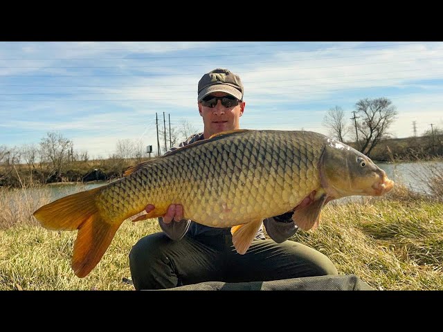 Started Off the Year with a BANG! (Winter Carp Fishing) 