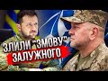 ❗️Екстрено! Заява з НАТО про ЗАЛУЖНОГО. У Зеленського підняли СКАНДАЛ. Путін обрав новий план миру