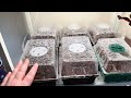 Plant Room Tour