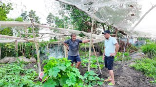 THAM QUAN QUY TRÌNH TRỒNG RAU SẠCH TẠI NHÀ VƯỜN, THƯƠNG LƯỢNG GIÁ TỐT ĐẾN TAY NGƯỜI TIÊU DÙNG