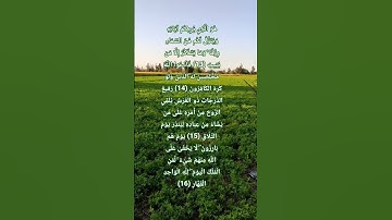 لِّمَنِ الْمُلْكُ الْيَوْمَ ۖ لِلَّهِ الْوَاحِدِ الْقَهَّارِ( سوره غافر )